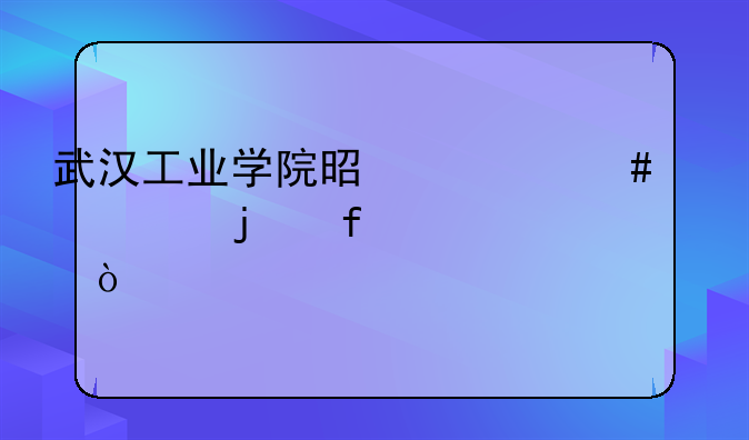 武汉工业学院是什么性质的院校？